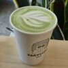 immaspicycactus